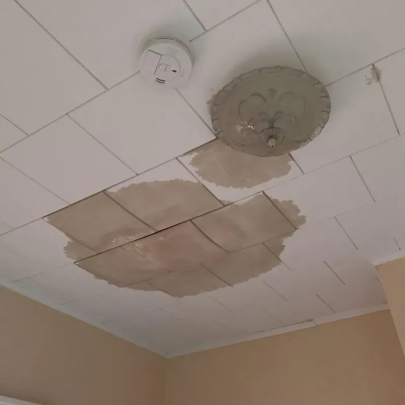 Ceiling Water Damage Repair in Senatobia, MS