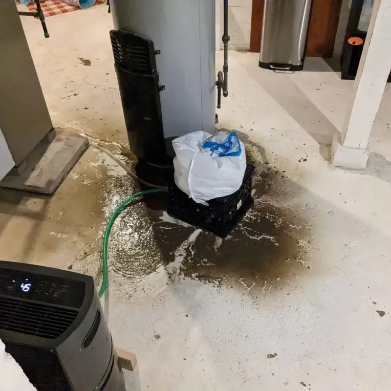 Sewage Backup Cleanup Service in Senatobia, MS